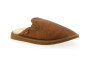 adam slipper