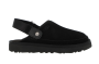 m goldenstar clog