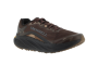 promorph