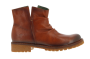 e013 anilex
