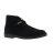 26166779 - VELOURS - BLACK