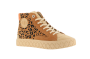 palla ace chukka cvs